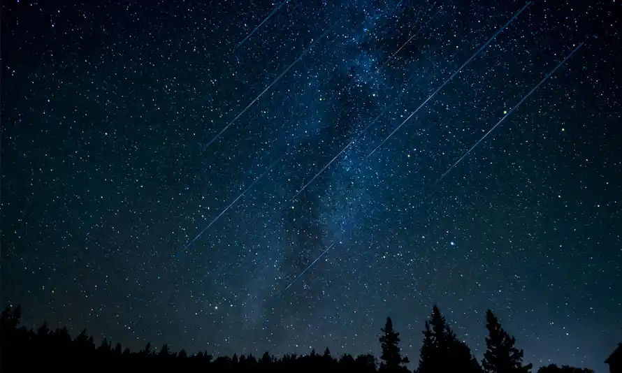 Catch the Celestial Spectacle: Your Guide to Viewing the Leonid Meteor ...