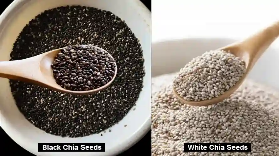 Chia Seeds Health Benefits: Detailed Nutrition Facts and Practical Uses Chia Seeds Health Benefits: black chia seeds and white chia seeds verities.
