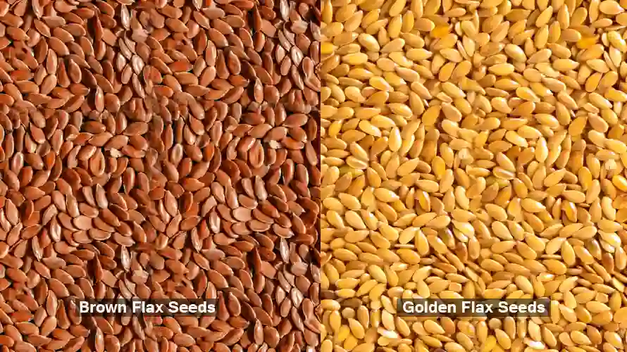 Flax Seeds Uses, Nutrition Facts and 5 Popular Recipes Flax seeds uses: Brown Flax seeds and Golden Flax seeds